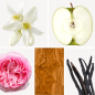 Preview: Duftnoten: Orangenblüte, Apfel, Pfingsrose, Olivenholz, Vanille